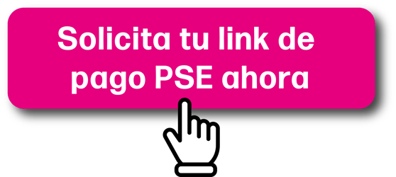 botón de pago