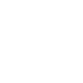 Logo-Nexsys-C