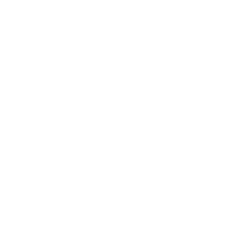 logo nexsys